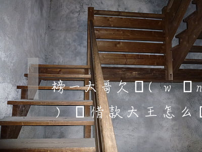 榜一大哥欠網(wǎng)貸(網(wǎng)貸借款大王怎么樣)