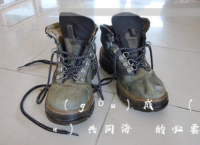 構(gòu)成貨運(yùn)險(xiǎn)共同海損的必要條件