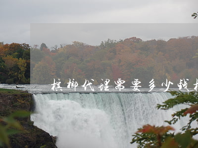 槟榔代理需要多少钱(槟榔总代理需要多少钱)