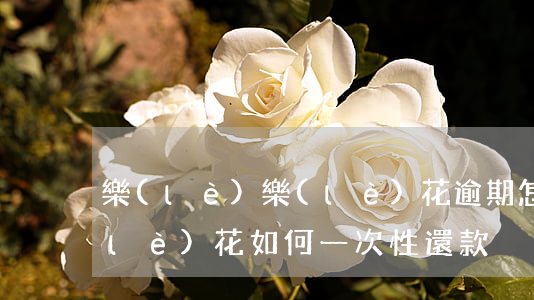樂(lè)樂(lè)花逾期怎樣還款(樂(lè)花如何一次性還款)