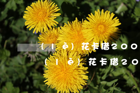 樂(lè)花卡借2000可以多久還款-樂(lè)花卡借2000可以多久還款啊