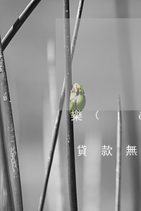 樂(lè)貸款逾期怎么能取消(樂(lè)貸款無(wú)法登錄怎么還款)