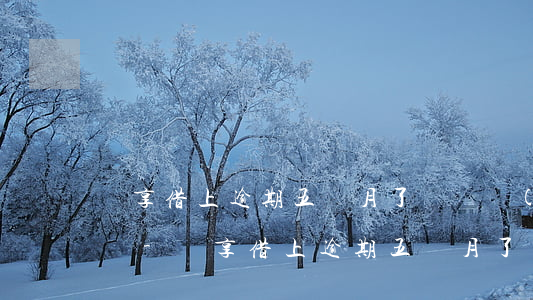 樂享借上逾期五個月了會凍結(jié)卡嗎-樂享借上逾期五個月了會凍結(jié)卡嗎安全嗎