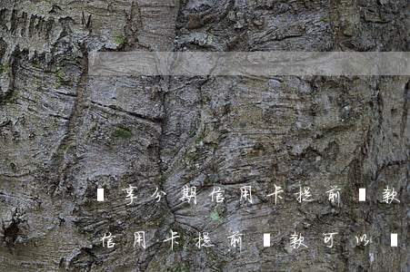 樂享分期信用卡提前還款可以嗎-樂享分期信用卡提前還款可以嗎安全嗎