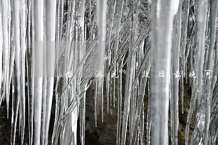 樂借暢游花還款日最晚可以幾點(diǎn)還
