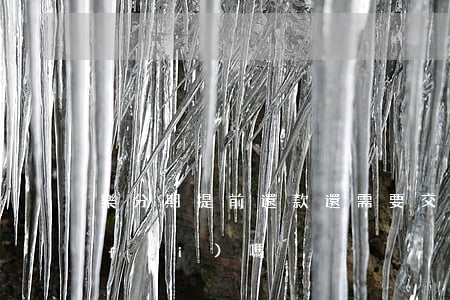 樂分期提前還款還需要交服務(wù)費(fèi)嗎