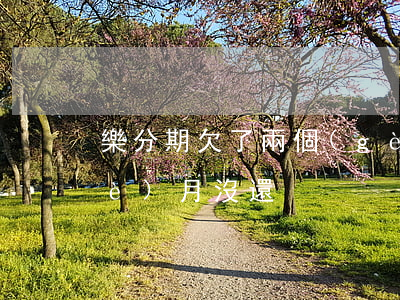 樂分期欠了兩個(gè)月(分期樂一個(gè)月沒還)