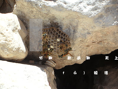 樂分期貸款逾期幾天上報(分期樂逾期兩天給我發(fā)短信說嚴重逾期)