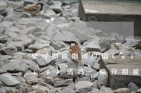 樂分期逾期可以協(xié)商本金結(jié)清嗎-樂分期逾期了怎么辦