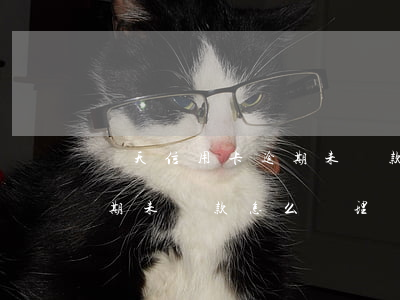 樂天信用卡逾期未還款怎么辦(樂天信用卡逾期未還款怎么辦理)