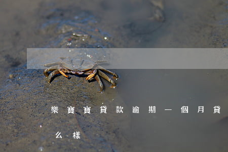 樂寶寶貸款逾期一個月(貸款逾期一個月會怎么樣)
