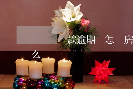 樂寶寶貸款逾期會怎樣(房屋貸款逾期了會怎么樣)