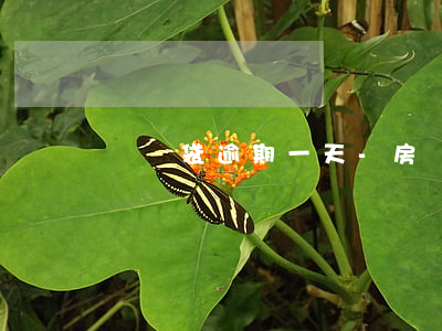 樂寶袋逾期一天-房貸逾期一天怎么辦