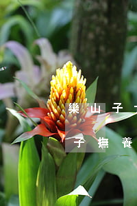 樂山子女撫養(yǎng)律師費用多少(孩子撫養(yǎng)費問題請律師需要多少錢)