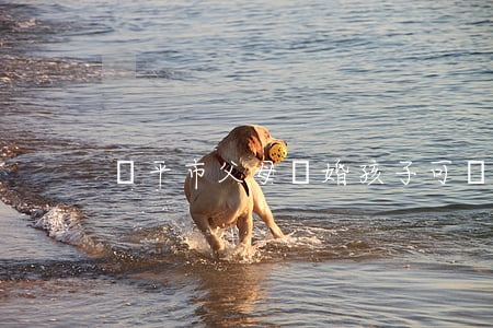 樂平市父母離婚孩子可憐
