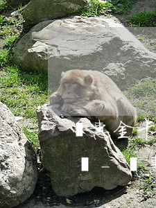 樂惠金卡逾期還款后還能繼續(xù)使用嗎-樂惠金卡逾期還款后 還能繼續(xù)使用嗎