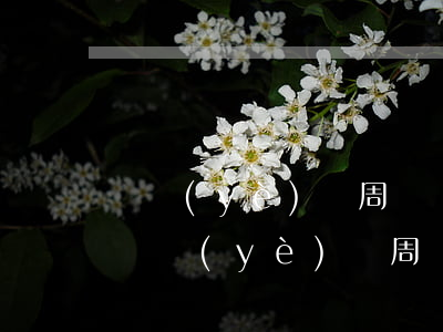 樂業(yè)縣周遠銀行卡詐騙被判多少年(樂業(yè)縣周遠銀行卡詐騙被判多少年)