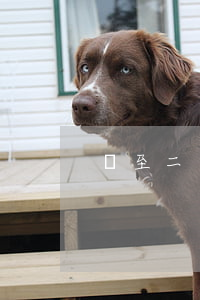 樂至二手房出售(樂至二手房出售)