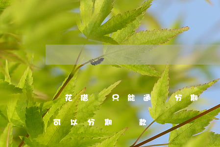 樂花借錢只能通過分期樂還款嗎-樂花借錢可以分期還款嗎
