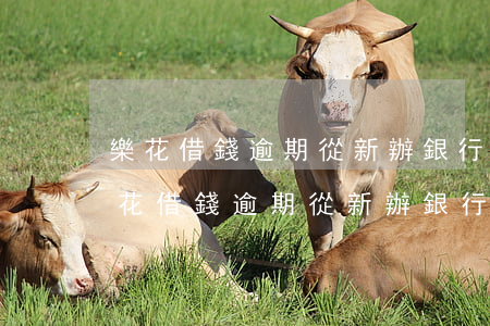 樂花借錢逾期從新辦銀行卡會被扣錢嗎-樂花借錢逾期從新辦銀行卡會被扣錢嗎安全嗎
