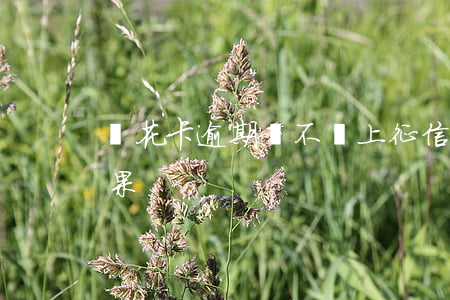 樂花卡逾期會不會上征信（花旗信用卡逾期后果）