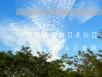 樂花花逾期說是起訴了(分期樂樂花卡逾期一次還了然后又逾期了)