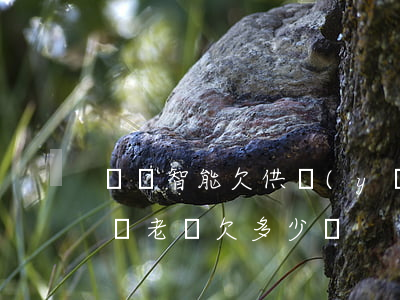 樂視智能欠供應(yīng)商錢怎么還(樂視老總欠多少錢)