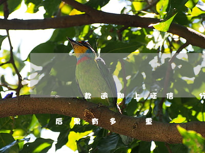 樂貸款逾期上征信嗎(分期樂逾期多久上征信?后果有多嚴重?)