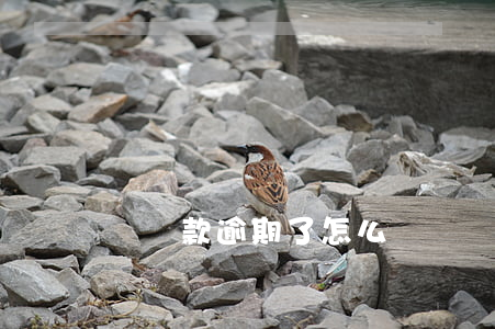 樂貸款逾期了怎么樣辦(樂貸款怎么還款啊)