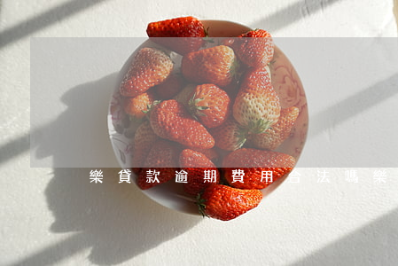 樂貸款逾期費用合法嗎(樂貸款不能借了)