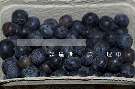 樂貸款逾期還款處理中(樂貸款怎么還款啊)