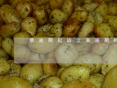 樂逾期起訴立案(逾期到起訴要多久)