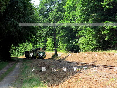 樂陵市債務(wù)逾期糾紛處理律師(樂陵人民法院庭審公開網(wǎng))