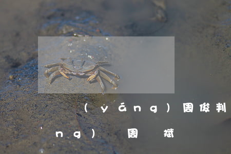 樅陽(yáng)周俊判多少年(樅陽(yáng)縣周劍斌)