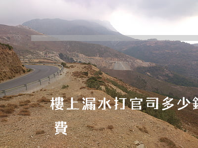 樓上漏水打官司多少錢(樓上漏水打官司律師費)