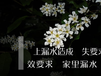 樓上漏水造成損失要求賠償有時(shí)效要求嗎(家里漏水給樓下造成損失需要賠償嗎)