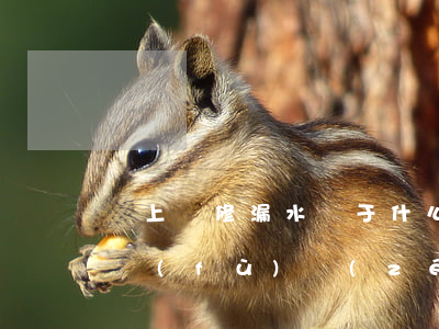 樓上裝修漏水屬于什么案由(樓房上面漏水誰負(fù)責(zé))