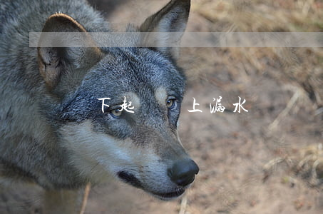 樓下起訴樓上漏水會敗訴嗎(樓上漏水可以起訴嗎)