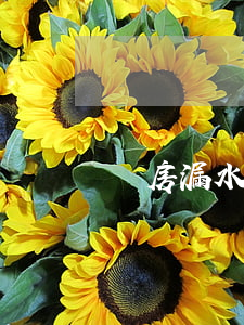 樓房漏水，財(cái)產(chǎn)損害賠償糾紛典型案例