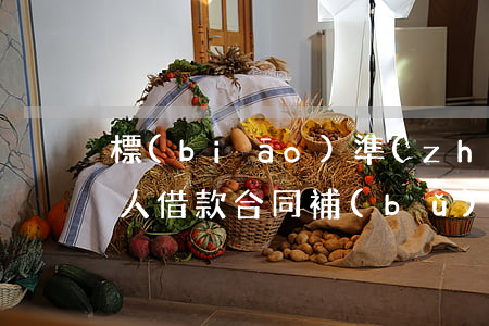 標(biāo)準(zhǔn)個(gè)人借款合同補(bǔ)充協(xié)議書