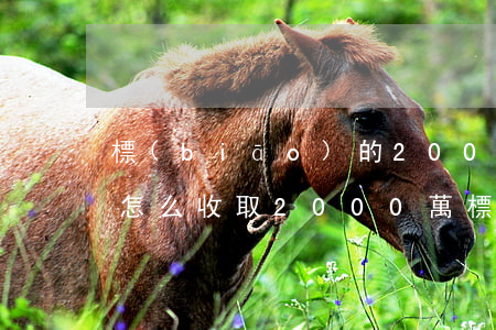 標(biāo)的20000的案件律師費怎么收取(2000萬標(biāo)的律師費收多少)