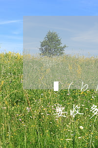 標(biāo)的50萬律師費(fèi)要收多少(一萬元官司律師費(fèi))