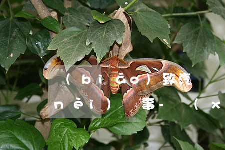 標(biāo)致汽車車貸逾期多久之內(nèi)沒事-現(xiàn)在車貸逾期多久之內(nèi)沒事