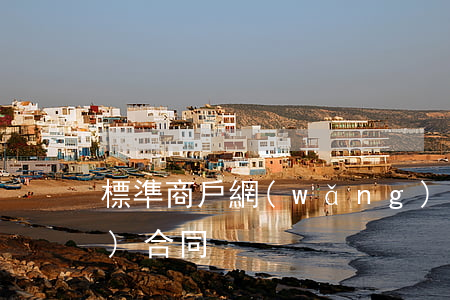 標準商戶網(wǎng)上銀行服務(wù)合同