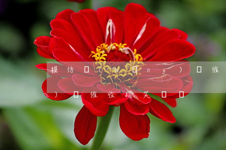 模仿網(wǎng)貸催收員(網(wǎng)貸催收搞笑視頻)