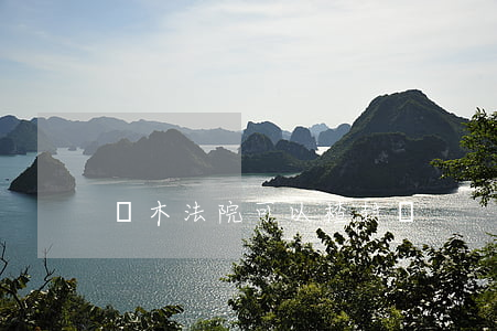 樹木法院可以楂封嗎