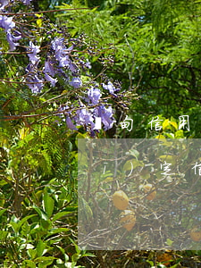 樺甸信用卡逾期多少錢(法律有沒有規(guī)定信用卡逾期收費多少)