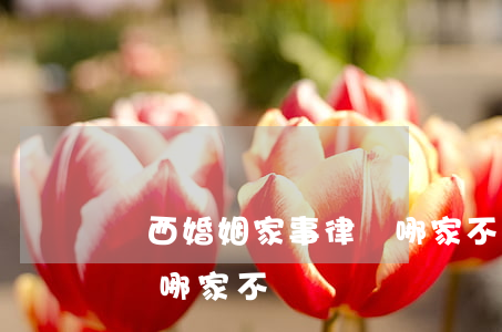 橋西婚姻家事律師哪家不錯(橋西婚姻家事律師哪家不錯)