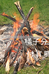 橘子分期不還什么后果（橘子分期逾期影響支付寶嗎）