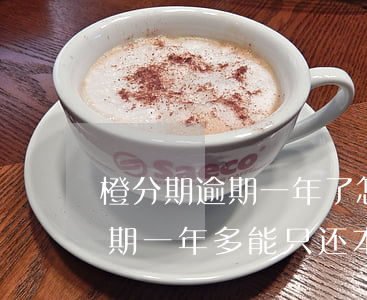 橙分期逾期一年了怎么协商还款(新橙分期逾期一年多能只还本金吗)